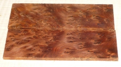 Thuja-Maser A-sortiert Folder-Griffschalen 120 x 40 x 4 mm