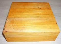 Cv150-5 Chakte Viga, Paela Bowl Blank 150 x 150 x 50 mm