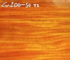 Cv200-5 Chakte Viga, Paela Bowl Blank  200 x 200 x 50 mm