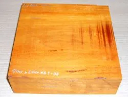 Cv200-6 Chakte Viga, Paela Bowl Blank  200 x 200 x 60 mm