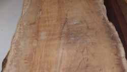 Ol540 Wild Olive Wood Tabletop XXL-Plank 1500 x 450 x 60 mm