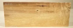 Mb080 Maulbeerholz aus der Maulbeerallee Zernikow 580 x 225 x 5 bis 40 mm