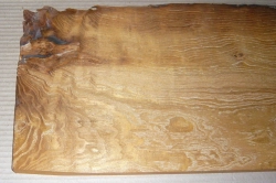 Mb080 Maulbeerholz aus der Maulbeerallee Zernikow 580 x 225 x 20 mm