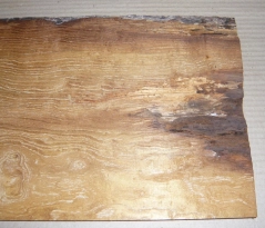 Mb080 Maulbeerholz aus der Maulbeerallee Zernikow 580 x 225 x 20 mm