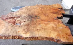 Ka012 Camphor Burl Slab XXL Natural Edge Tabletop 1150 x 710 x 40-30 mm