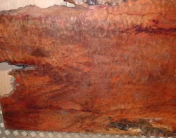 Ka014 Camphor Burl Slab XXL Natural Edge Tabletop 2600 x 1100 x 50 mm