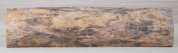 Po035 Lignum Vitae, Guaiacum Sapwood Log Section 555 x 130 x 22 mm