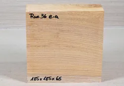 Rue036 Zelkove, asiatische Ulme Block 185 x 185 x 65 mm