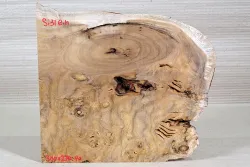 Si031 Sindora Burl Decorative Board 300 x 270 x 40 mm