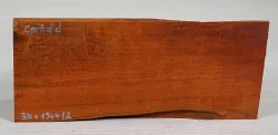 Cp007 Campeche Wood, Logwood Decorative Board 310 x 150 x 12 mm