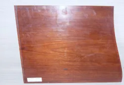 Ma503 Antique Mahogany solid Board 19th Century 610 x 460 x 8 mm
