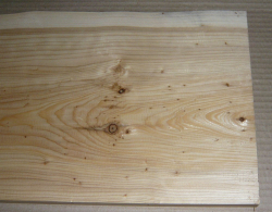 Le019 Lebensbaum, Thuja Brett 790 x 200 x 25 mm