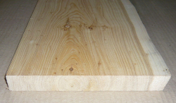 Le019 Lebensbaum, Thuja Brett 790 x 200 x 25 mm