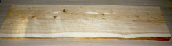 Le019 Lebensbaum, Thuja Brett 790 x 200 x 25 mm