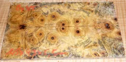 By425 Buckeye Burl stabilisiert Griffschalen 145 x 43 x 5,5 mm