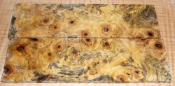 By425 Buckeye Burl stabilisiert Griffschalen 145 x 43 x 5,5 mm