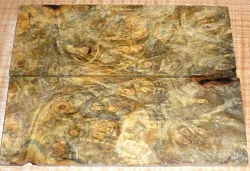 By429 Buckeye Burl stabilisiert Griffschalen 115 x 44 x 4 mm