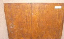 Ec139 Oak Antique furniture door ca. 1830 1150 x 840 x 20 mm
