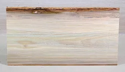 Ww005 Whitewood, Tulpenbaum 365 x 190 x 11 mm