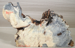 By003 Buckeye Burl Pair of bookmatched boards 2x 400 x 180 x 50 mm