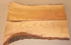 Md009 Almond Tree Wood Pair of bookmatched boards 450 x 260 x 14 mm