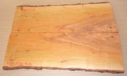 Md010 Almond Tree Wood Pair of bookmatched boards 450 x 150 x 14 mm