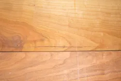 Md010 Mandelbaumholz Brettchenpaar gespiegelt 450 x 150 x 14 mm