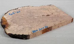 Ca003 Canistel Burl, Eggfruit Tree Burl Burl Slice 280 x 200 x 20 mm