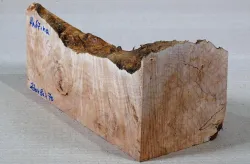 Ah067 Oregon Maple Burl Spalted Block 230 x 80 x 70 mm