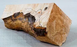 Ah067 Oregon Maple Burl Spalted Block 230 x 80 x 70 mm