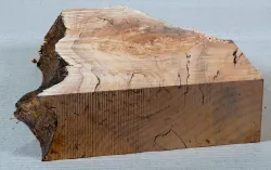 Ah066 Oregon Maple Burl Spalted Block 230 x 190 x 65 mm