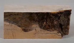 Ah068 Oregon Maple Burl Spalted Block 235 x 95 x 70 mm