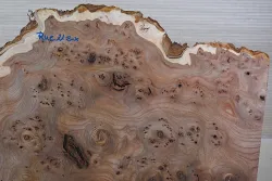 Rue021 Elm Burl 425 x 290 x 50 mm