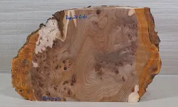 Rue023 Elm Burl 370 x 300 x 50 mm