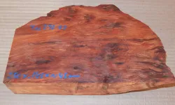 Tu297 Thuya Burl Decorative Slab 250 x 140 x 45 mm