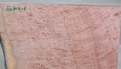 Eu041 Roter Eukalyptus Dekostück 270 x 250 x 22 mm