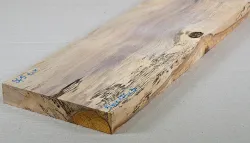 Sf005 Blackhearted Sassafras spalted 560 x 175 x 30 mm