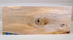 Sf012 Blackhearted Sassafras spalted 485 x 200 x 18 mm