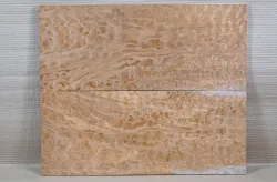 Ah109 Quilted Maple, Muschelahorn Gitarrendeck 530 x 435 x 8 mm