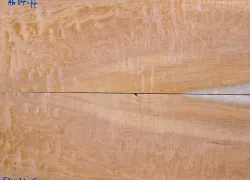 Ah114 Quilted Maple, Muschelahorn Gitarrendeck 525 x 320 x 6 mm