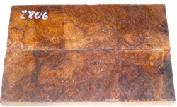 2806 Desert Ironwood Burl Scales 134 x 45 x 8 mm