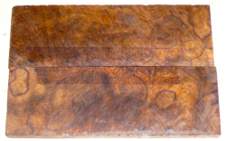 2806 Desert Ironwood Burl Scales 134 x 45 x 8 mm