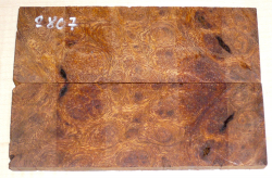 2807 Wüsteneisenholz Maser Griffschalen 134 x 45 x 8 mm