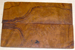 2809 Desert Ironwood Burl Scales 134 x 45 x 8 mm