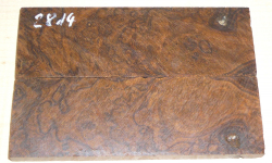 2814 Desert Ironwood Burl Scales 134 x 45 x 8 mm