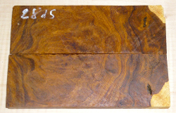 2815 Desert Ironwood Burl Scales 134 x 45 x 8 mm