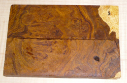 2815 Desert Ironwood Burl Scales 134 x 45 x 8 mm
