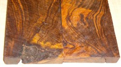 2817 Desert Ironwood Burl Scales 134 x 45 x 8 mm