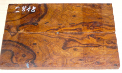 2818 Desert Ironwood Burl Scales 134 x 45 x 8 mm