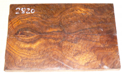 2820 Wüsteneisenholz Maser Griffschalen 134 x 45 x 8 mm